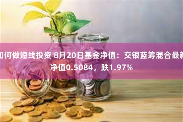 如何做短线投资 8月20日基金净值:交银蓝筹混合最新净值0.5084,跌1.97%