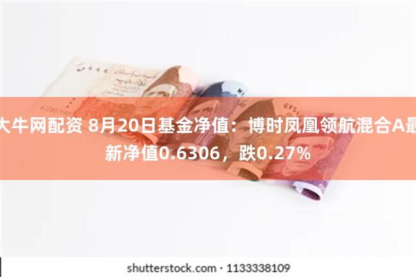 大牛网配资 8月20日基金净值:博时凤凰领航混合A最新净值0.6306,跌0.27%