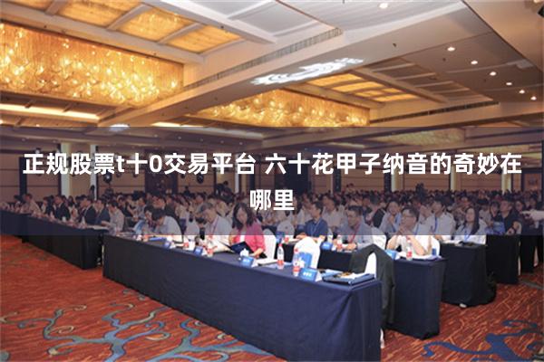 正规股票t十0交易平台 六十花甲子纳音的奇妙在哪里