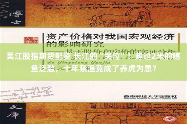 吴江股指期货配资 长江的“哭泣”！超过2米的鱤鱼泛滥，十年禁渔竟成了养虎为患？