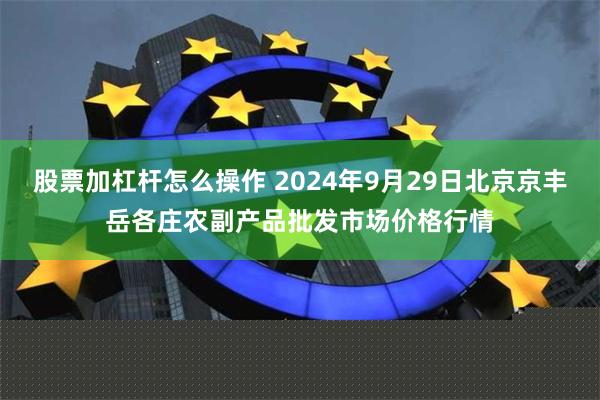 股票加杠杆怎么操作 2024年9月29日北京京丰岳各庄农副产品批发市场价格行情
