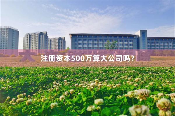 注册资本500万算大公司吗？