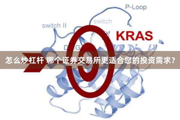 怎么炒杠杆 哪个证券交易所更适合您的投资需求？