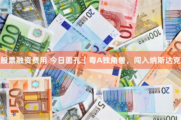 股票融资费用 今日面孔｜粤A独角兽，闯入纳斯达克