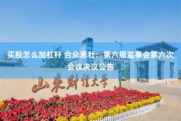 买股怎么加杠杆 合众思壮：第六届监事会第六次会议决议公告