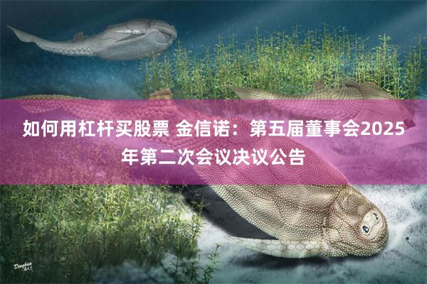 如何用杠杆买股票 金信诺：第五届董事会2025年第二次会议决议公告