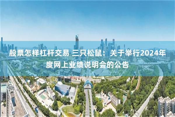 股票怎样杠杆交易 三只松鼠：关于举行2024年度网上业绩说明会的公告