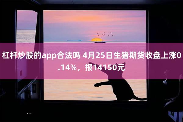 杠杆炒股的app合法吗 4月25日生猪期货收盘上涨0.14%，报14150元