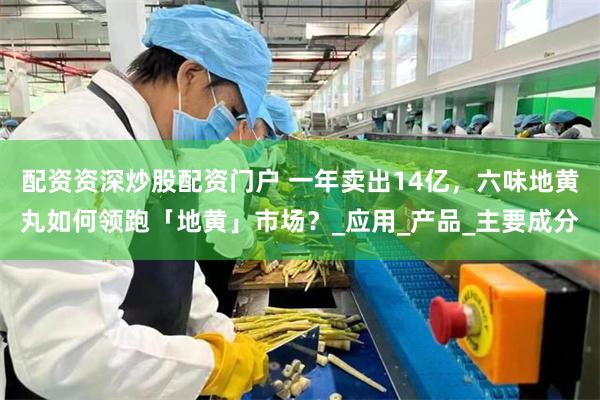 配资资深炒股配资门户 一年卖出14亿，六味地黄丸如何领跑「地黄」市场？_应用_产品_主要成分