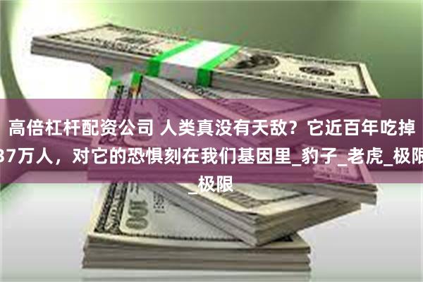 高倍杠杆配资公司 人类真没有天敌？它近百年吃掉37万人，对它的恐惧刻在我们基因里_豹子_老虎_极限