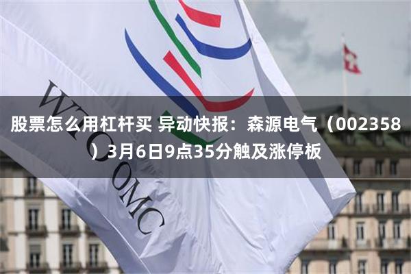 股票怎么用杠杆买 异动快报：森源电气（002358）3月6日9点35分触及涨停板