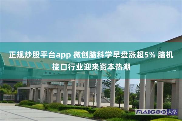 正规炒股平台app 微创脑科学早盘涨超5% 脑机接口行业迎来资本热潮