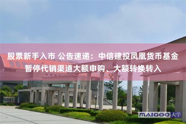 股票新手入市 公告速递：中信建投凤凰货币基金暂停代销渠道大额申购、大额转换转入