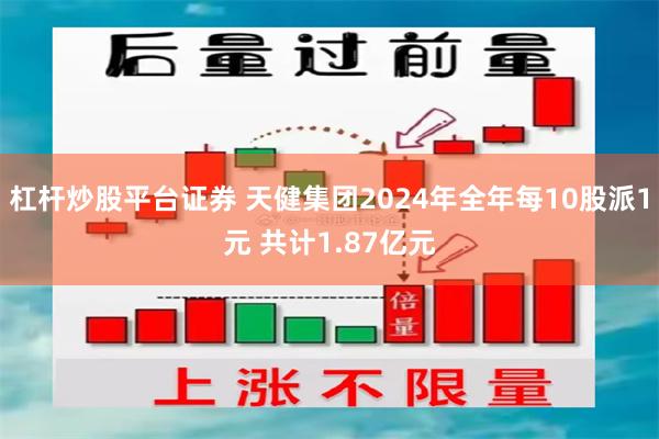 杠杆炒股平台证券 天健集团2024年全年每10股派1元 共计1.87亿元