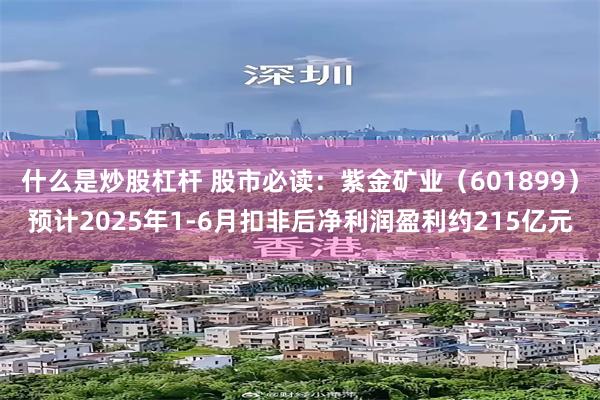 什么是炒股杠杆 股市必读：紫金矿业（601899）预计2025年1-6月扣非后净利润盈利约215亿元