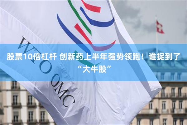 股票10倍杠杆 创新药上半年强势领跑！谁捉到了“大牛股”