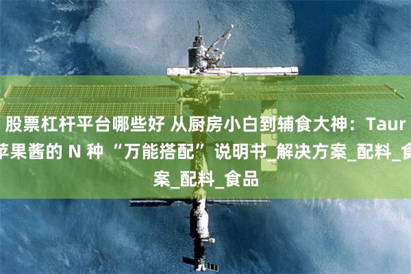 股票杠杆平台哪些好 从厨房小白到辅食大神：Taura 苹果酱的 N 种 “万能搭配” 说明书_解决方案_配料_食品