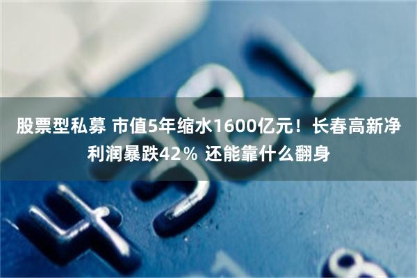 股票型私募 市值5年缩水1600亿元！长春高新净利润暴跌42％ 还能靠什么翻身