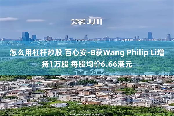 怎么用杠杆炒股 百心安-B获Wang Philip Li增持1万股 每股均价6.66港元