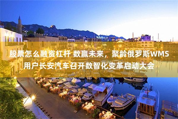 股票怎么融资杠杆 数赢未来,聚龄俄罗斯WMS用户长安汽车召开数智化变革启动大会